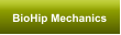 BioHip Mechanics